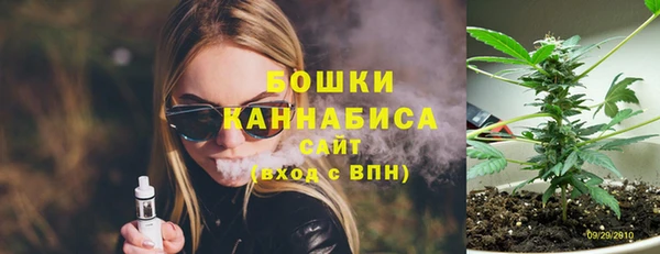 PSILOCYBIN Покачи