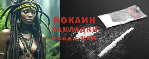 PSILOCYBIN Покачи