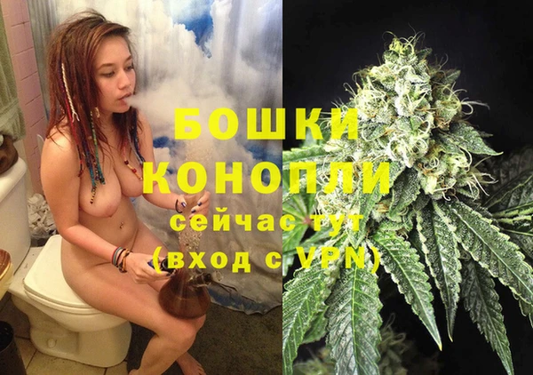 СК Бежецк