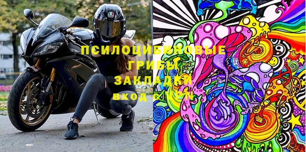 крисы Покровск